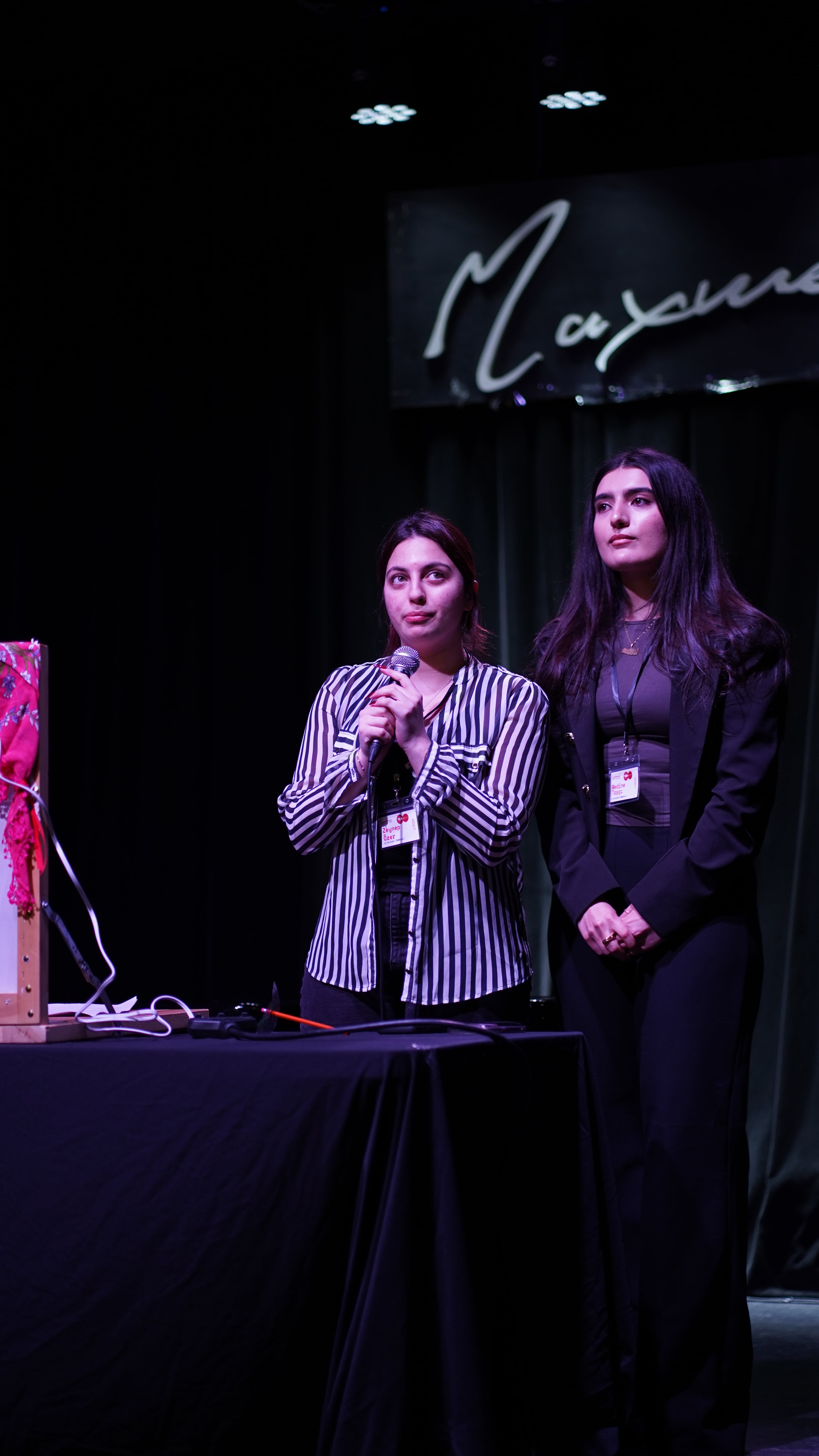 Karagöz Puppet Show